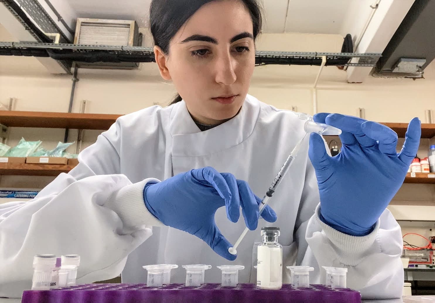 Preparing a stock of a protein.
