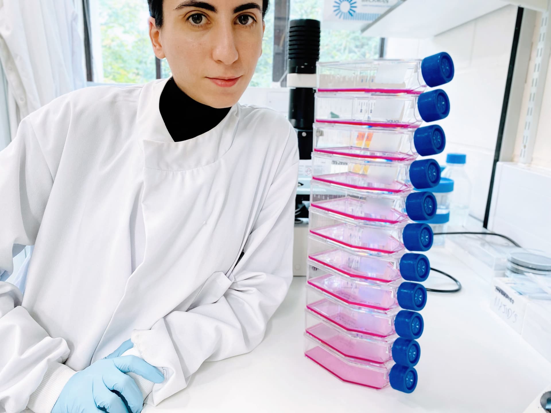 A tower of cell culture flasks at the end of my experiment.