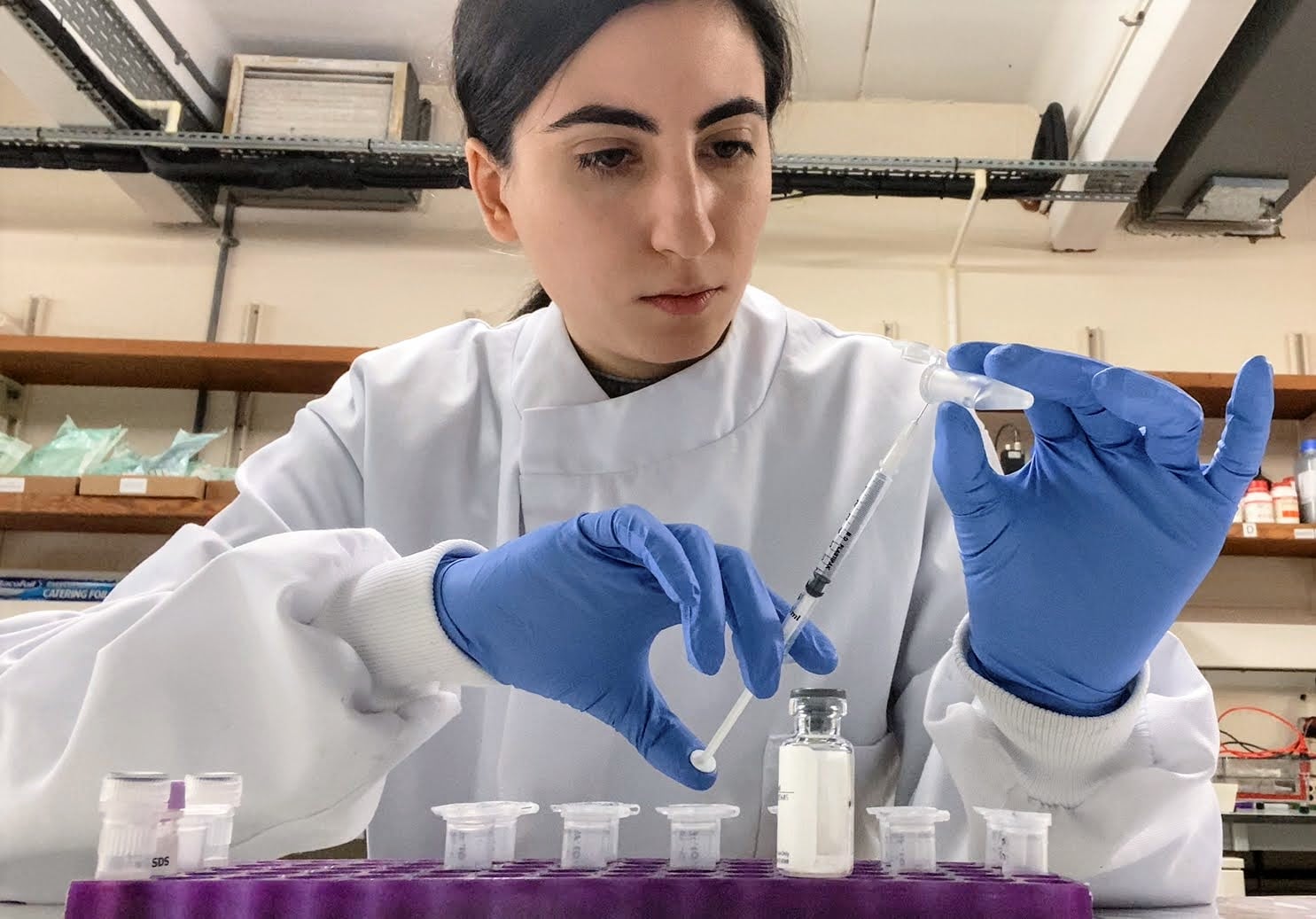 Preparing a stock of a protein.
